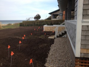 Loam on ocean side of house Loam on ocean side of house